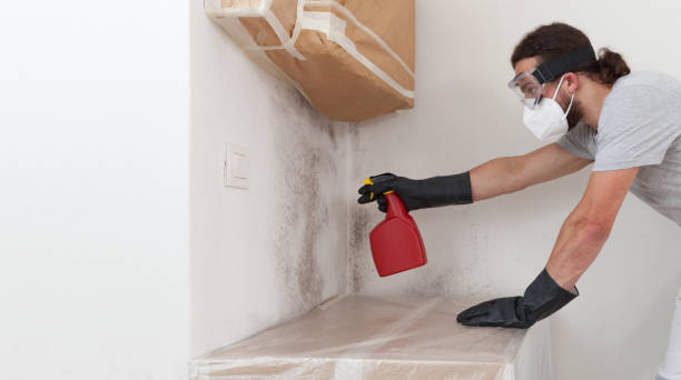 Professional Bathroom Mold Removal technician working in Clifton, VA