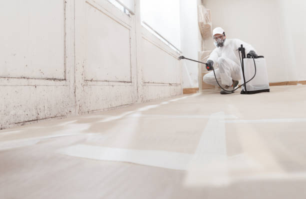 24/7 Emergency Bathroom Mold Removal experts in Clifton, VA