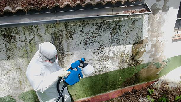 Top rated local Bathroom Mold Removal specialists in Clifton, VA